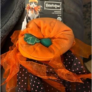 Pumpkin cat costume
